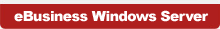 eBusiness Windows Server