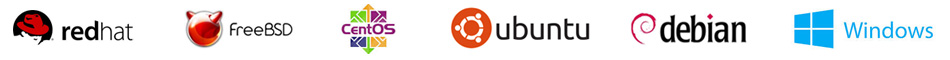 OS for Servers: Redhat FreeBSD CentOS Ubuntu Debian Windows